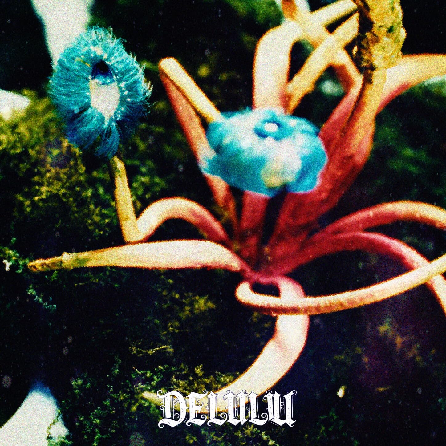 Image Cover